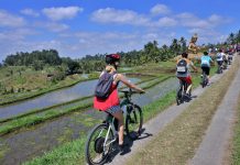 Gowes dari Jatiluwih ke Babahan, Nikmati Indahnya Pemandangan Sawah Hijau