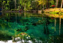 Bersepeda ke Telaga Rambut Monte, Telaga Asri di Tengah Hutan Rimbun