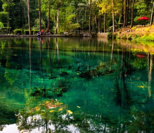 Bersepeda ke Telaga Rambut Monte, Telaga Asri di Tengah Hutan Rimbun