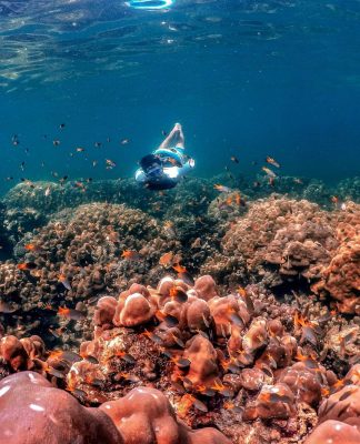 Pesona Bawah Laut Pulau Badalu, Surga bagi Pencinta Snorkeling