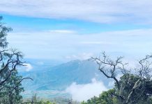 Mantra Summits Challenge, Ajang Lari Lintas Alam di Gunung Arjuno-Welirang