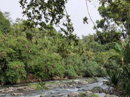 Unda River Camp, Tempat Camping Baru di Klungkung
