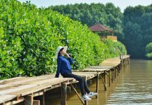 Asyiknya Ngabuburit sambil Joging di Hutan Mangrove Kebumen