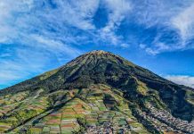 Sumbing Vertical Challenge, Lari Lintas Alam 12K di Gunung Sumbing