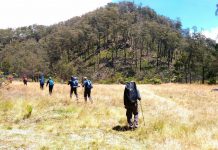 Menikmati Indahnya Sabana di Jalur Pendakian Baderan