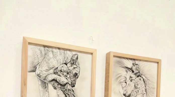 Pameran Seni Miracle at Jogja Gallery Digelar hingga 23 Juni