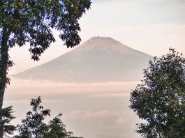 MesaStila 100 Kembali Digelar, Rutenya Melintasi Gunung-gunung di Jawa Tengah