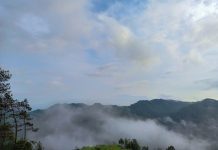 Menyaksikan Indahnya Panorama dari Tumpak Pare, Wisata Antimainstream di Ponorogo!