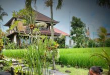 4 Alasan untuk Memanjakan Diri di Bliss Ubud Spa