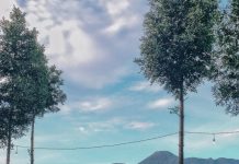 Bukit Cirimpak, Spot Camping Pilihan di Megamendung