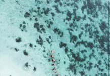 Menyelami Surga Bawah Laut Pulau Mapur, Bintan