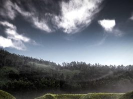 Gunung Pangonan di Dieng Suguhkan Indahnya Hamparan Sabana