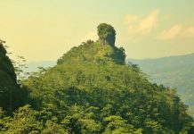 Serunya Berlari Lintas Alam di Bukit Widosari