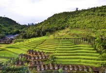 Menyambangi Kampung Adat Ciptagelar di Sukabumi