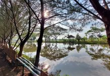 Berolahraga Menyusuri Rimbunnya Hutan Kota Pakal