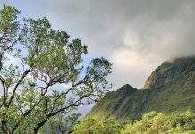 Butuh Self-healing? Agendakan Camping di Lembah Lohe Yuk!