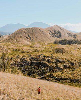 Indahnya Hamparan Padang Rumput Eksotis di Kawah Wurung
