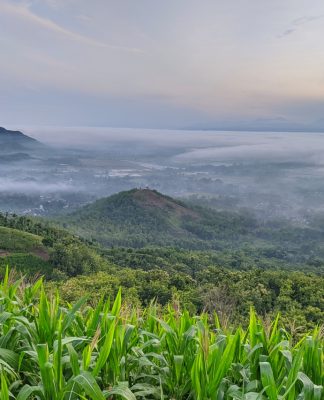 Gowes Seru di Tulungagung, Naik-naik ke Puncak Jowin