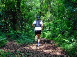 Forest Run Suguhkan Rute Lari Lintas Alam di Cikole
