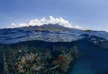 Situs-situs Penyelaman Menawan di Pemuteran, Pernah Diving di Sini?