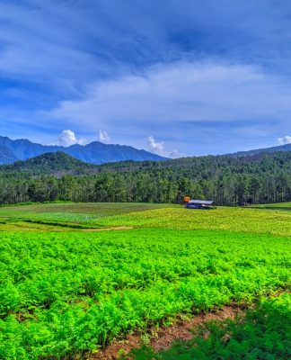 Gowes di Batu, Coba Menjelajah Hamparan Kebun di Bukit Jengkoang