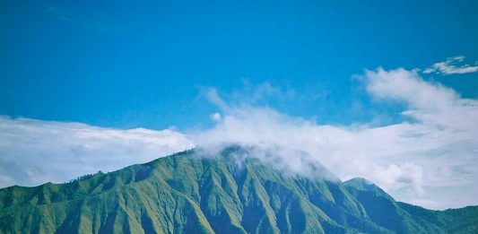 Cantiknya Hamparan Sabana di Bukit Dandaun, Destinasi Favorit Pendaki di Lombok