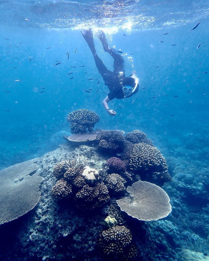 Snorkeling Di Pulau Penjalin, Surga Bawah Laut Di Anambas