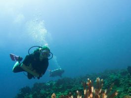 Gili Banta, Surga Diving di Pertemuan Dua Arus Laut