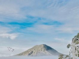 Mulai Rp300 Ribuan, Pertiwi Camp Kintamani Suguhkan View Gunung Batur