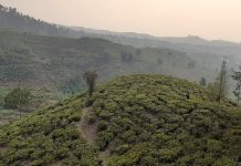 Jalan-jalan Santai dan Menikmati Alam di Bukit Senyum Bandung