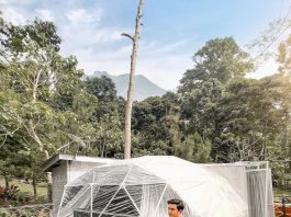 Mewujudkan Impian Berkemah Mewah di Turi Boba Luxury