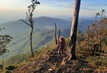 Gunung Mutis, Puncak Mistis yang Menyimpan Sejuta Pesona