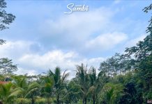 Camping Anti-bosan di Ledok Sambi, Banyak Aktivitas Seru!