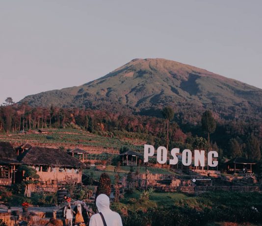 Glamping di Taman Wisata Alam Posong, Cocok untuk Penyuka Sunrise!