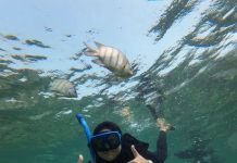 Pulau Lemukutan, Surga Tersembunyi di Lepas Pantai Kalimantan Barat