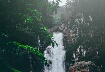 Trekking Singkat ke Curug Ngebul, Keindahan Tersembunyi di Cianjur