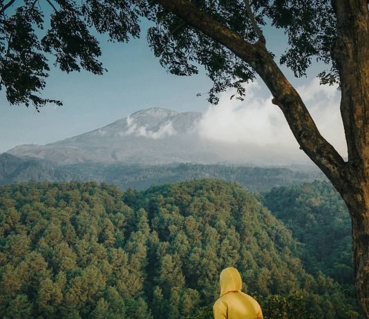 Wisata di Gunung Ciwaru, Trekking Singkat dan Banyak Spot Foto Cantik!