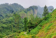Bersepeda Menembus Keindahan Alam di Bukit Siregol, Purbalingga