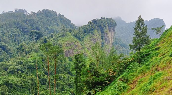 Bersepeda Menembus Keindahan Alam di Bukit Siregol, Purbalingga