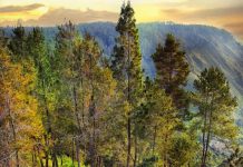 Bobocabin Signature Toba, Akomodasi Menawan Dekat Danau Terbesar di Indonesia