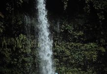 Curug Ceheng, Keindahan Tersembunyi di Hutan Banyumas
