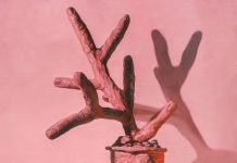 Pameran ‘Seeing Things’, Melihat Dunia Melalui Lensa Seni