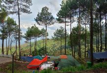 Aone Trawas, Spot Healing Baru di Mojokerto