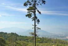 Menikmati Petualangan Bersepeda Menuju Wisata Batu Kuda, Bandung