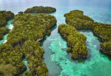 Menyelam di Pulau Bair, Petualangan Bawah Laut yang Mengesankan di Maluku Tenggara