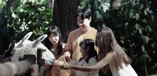 Petualangan Alam dan Keajaiban Hutan di The Grand Taman Safari Prigen