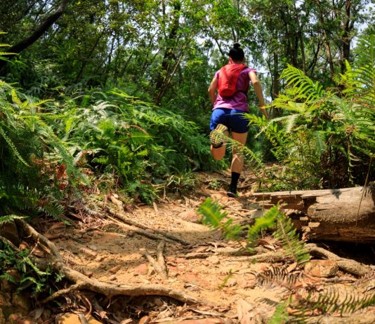 UI Trail Race 2024 Siap Digelar di Sentul, Kategori Lari Mulai 5K hingga 80K