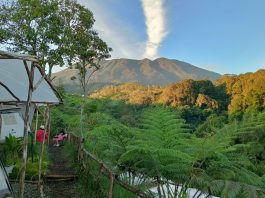 Tak Perlu Repot Bawa Tenda, Nikmati Camping Praktis di Adeka Campsite