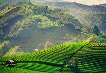 Rute Baru Scoot ke Kertajati dan Lombok, Peluang Eksplorasi Baru