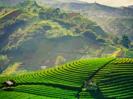 Rute Baru Scoot ke Kertajati dan Lombok, Peluang Eksplorasi Baru